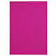 Kopieerpapier Papicolor A4 100gr 12 vel felroze