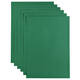 Kopieerpapier Papicolor A4 100gr 12 vel dennengroen