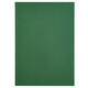 Kopieerpapier Papicolor A4 100gr 12 vel dennengroen