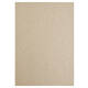 Kopieerpapier Papicolor A4 100gr 12 vel kraft grijs