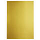 Kopieerpapier Papicolor A4 300gr 3 vel metallic goud