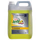 Allesreiniger Andy citroen fris 5 liter