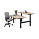 Bureau zit-sta Duo elektrisch 160x80cm 'Business'