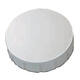 Magneet MAUL Solid 20mm 300gr wit 10 stuks