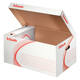 Archief- en transportdoos met deksel Esselte 560x265x380mm wit