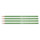 Potlood STABILO Greengraph 6003 HB