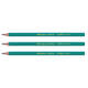 Potlood Bic Evolution ecolutions 650 zeshoekig HB