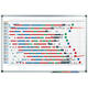 Planbord Legamaster premium jaar 53 weken 60x90cm