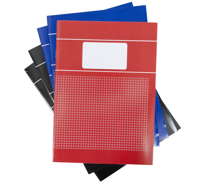 Schrift  SOHO Basic A4 ruit 5x5mm 80 pagina's 60gr assorti 5 stuks