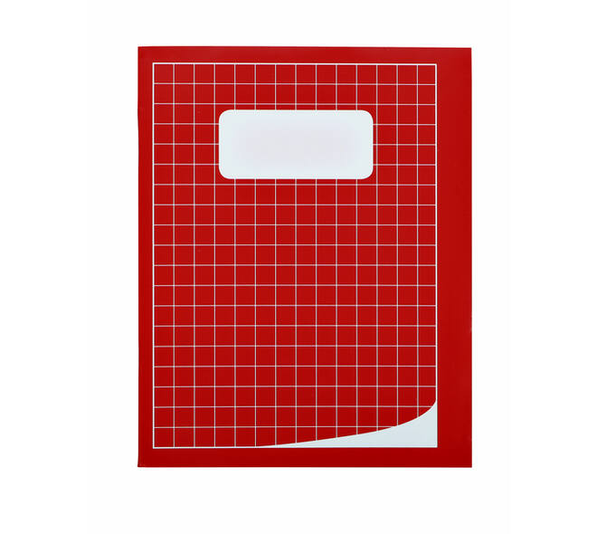Schrift Qbasic 210x165mm ruit 10mm 80blz 70gr assorti