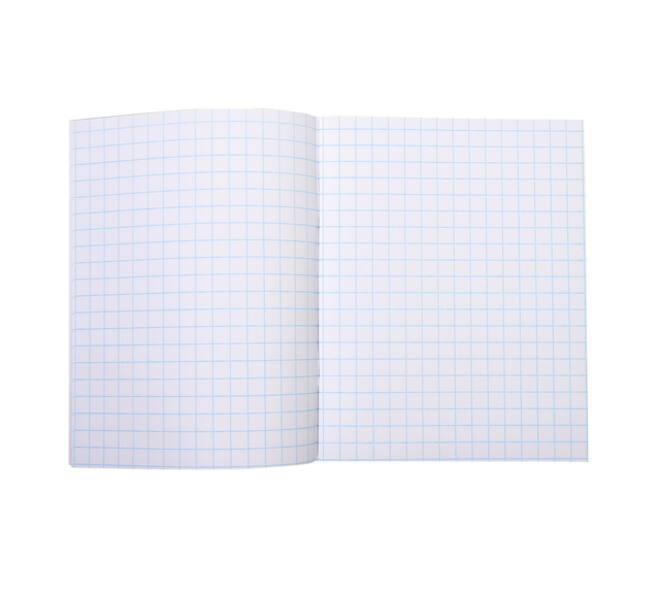 Schrift Qbasic 210x165mm ruit 10mm 80blz 70gr assorti