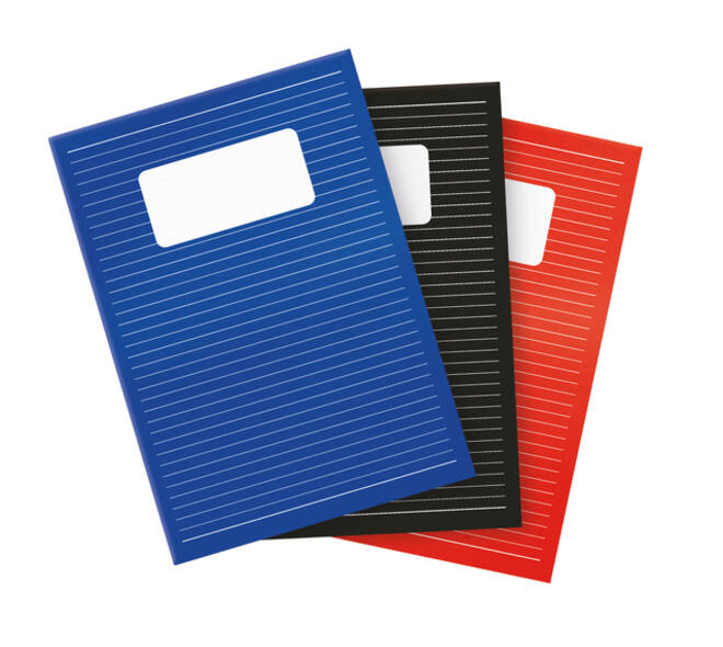 Schrift Qbasic A4 lijn 80blz 70gr assorti