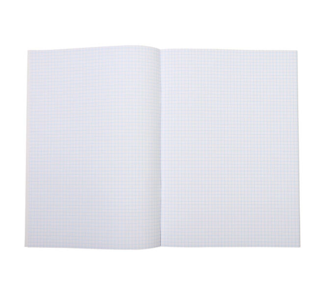Schrift Qbasic A4 ruit 5mm 80blz 70gr assorti