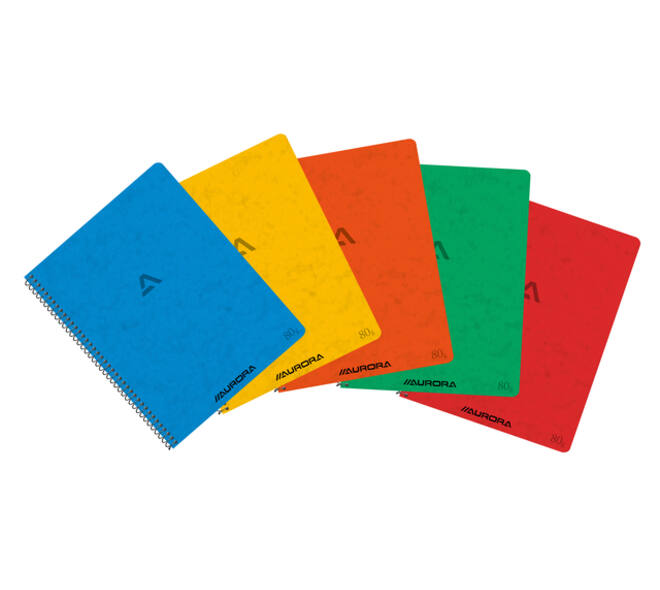 Schrift Aurora 210x165mm ruit 5x5mm 120 pagina's 80gr assorti