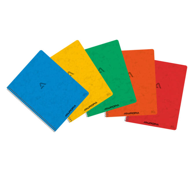 Schrift Aurora 210x165mm lijn 120 pagina's 80gr assorti