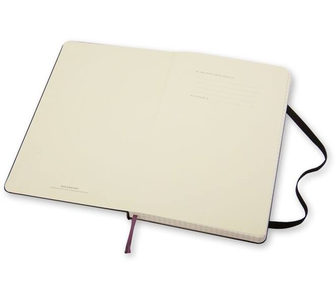 Notitieboek Moleskine large 130x210mm ruit 5x5 hard cover zwart