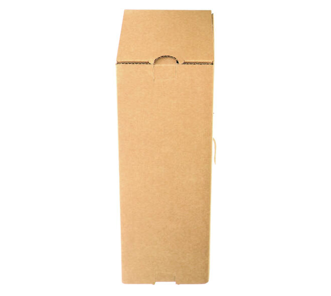 Verzenddoos fles IEZZY karton bruin 90x90x360mm