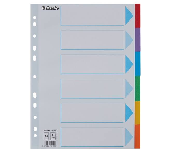 Tabbladen Esselte Standaard A4 6-delig karton 11-rings met voorblad assorti