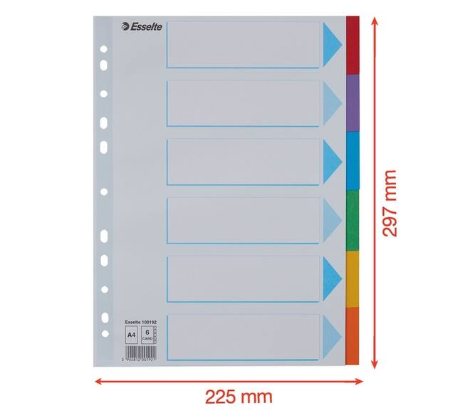 Tabbladen Esselte Standaard A4 6-delig karton 11-rings met voorblad assorti