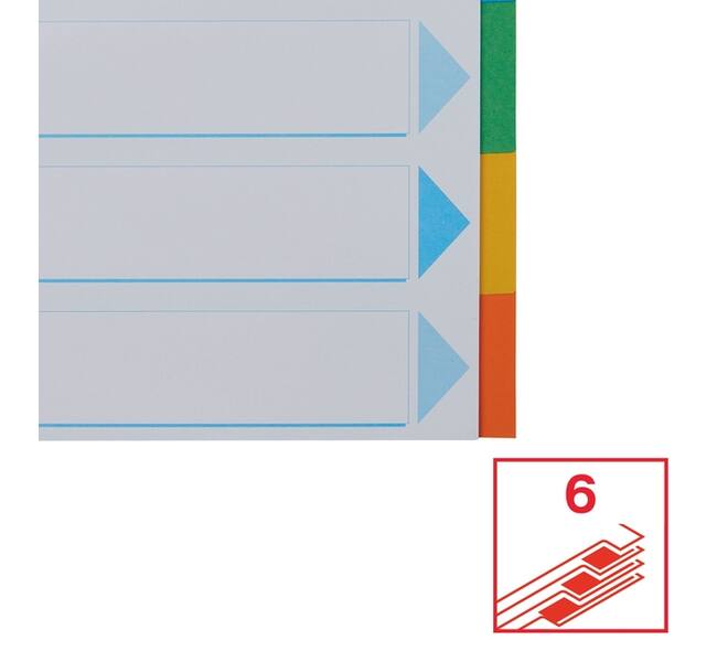 Tabbladen Esselte Standaard A4 6-delig karton 11-rings met voorblad assorti