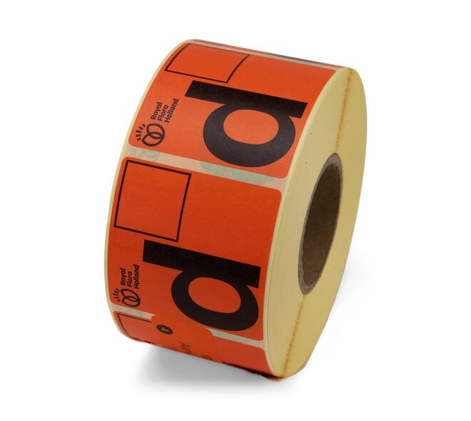 Etiket 50x50 FH Aanvoerbrief D kern 40, 1000 rol, permanent