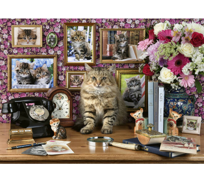 Puzzel Ravensburger Mijn katjes 1000 stukjes