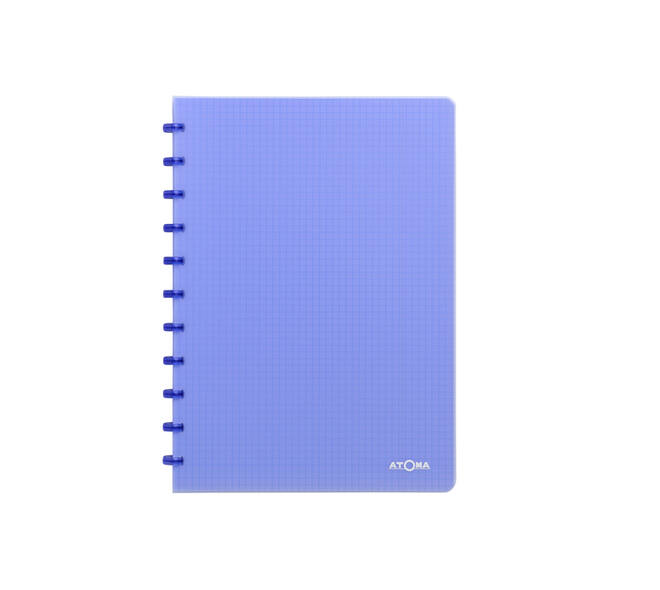 Schrift Atoma A4 ruit 5x5mm 144blz 90gr PP transparant assorti