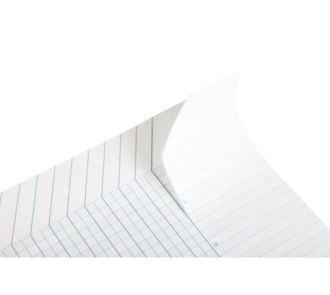 Puntenboek leraren Clairefontaine A4 72 pagina's 110gr meertalig assorti