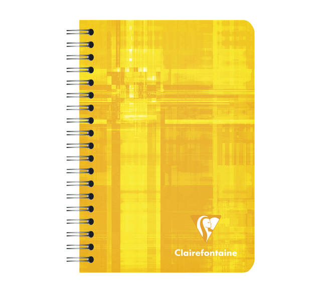 Notitieboek Clairefontaine A7+ 95x140 ruit 5x5 100blz 90gr assorti