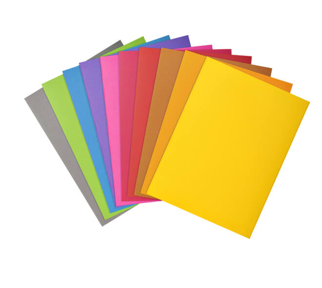 Vouwmap Exacompta ROCK'S A4 80g assorti 100 stuks