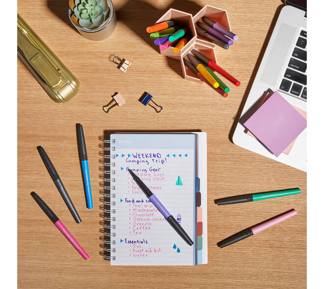 Fineliner Paper Mate Flair Metallic medium blister à 6 stuks