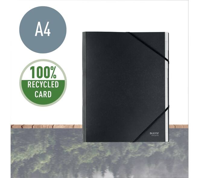 Sorteermap Leitz Recycle 12 tabs karton zwart