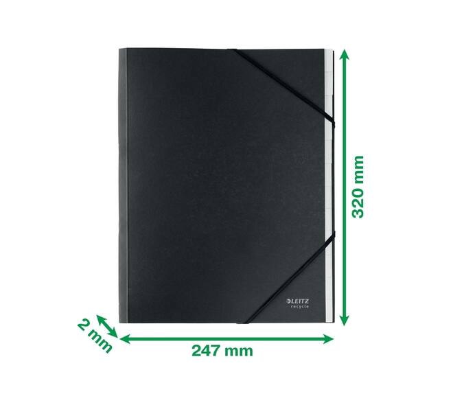 Sorteermap Leitz Recycle 12 tabs karton zwart