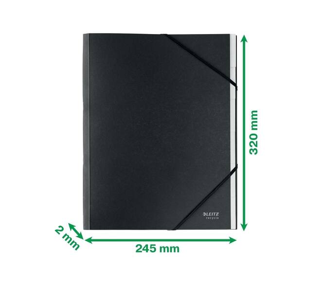 Sorteermap Leitz Recycle 6 tabs karton zwart