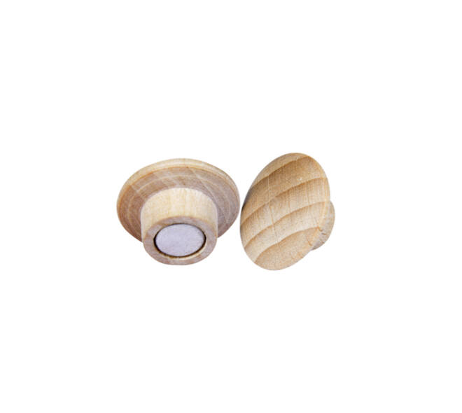 Magneet Legamaster hout 5 stuks