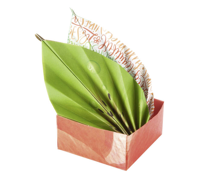 Vouwblaadjes Folia 80gr 15x15cm 50 vel 2-zijdig 10 tropical designs