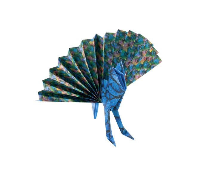Vouwblaadjes Folia 80gr 15x15cm 50 vel 2-zijdig 10 wildlife designs
