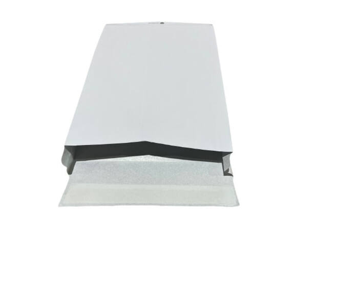 Securitex envelop IEZZY 250x350x38mm 10 stuks