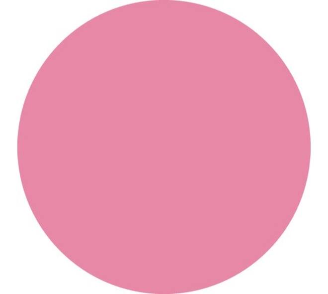 Brushstift STABILO Pen 568/29 roze