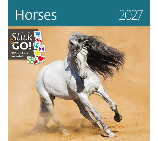 Kalender 2027 Helma 365 30x30cm paarden