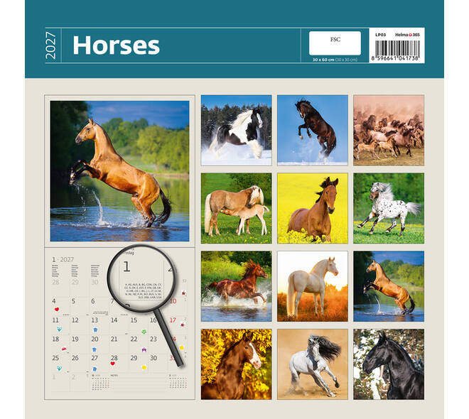 Kalender 2027 Helma 365 30x30cm paarden