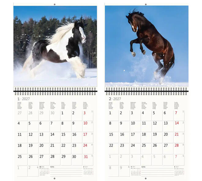 Kalender 2027 Helma 365 30x30cm paarden