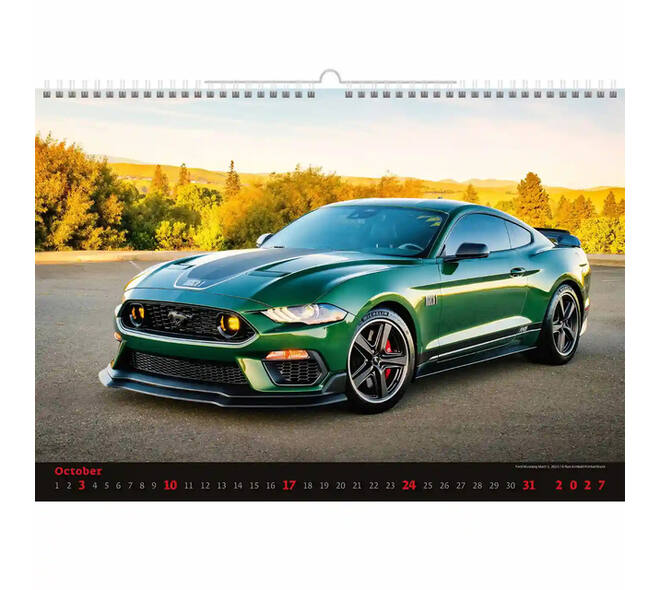 Kalender 2027 Helma 365 31.5x45cm autos
