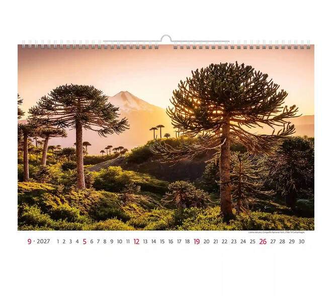 Kalender 2027 Helma 365 31.5x45cm Nationale parken