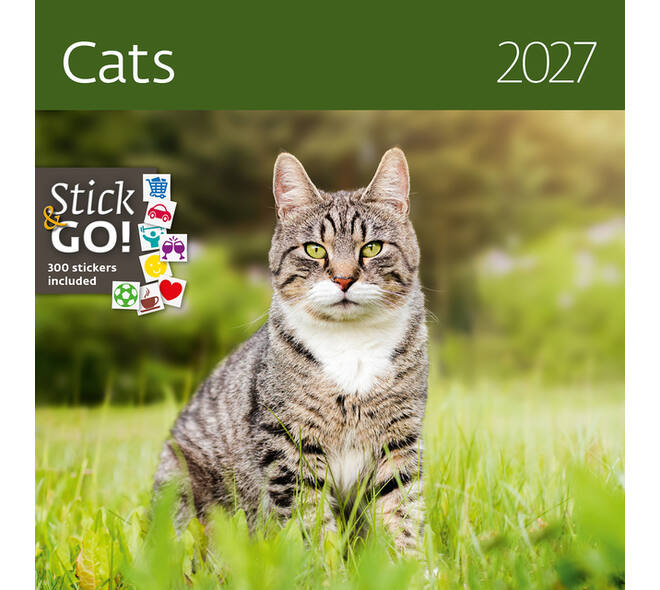 Kalender 2027 Helma 365 30x30cm katten