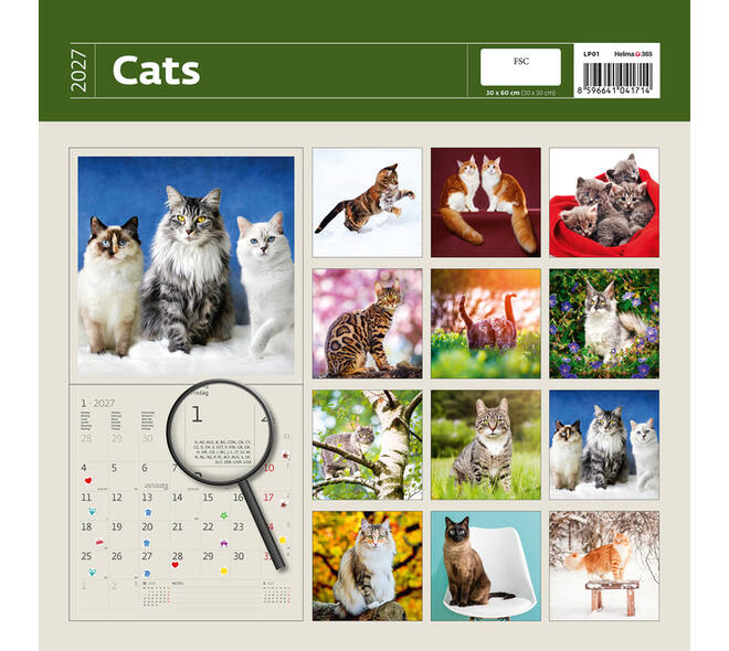 Kalender 2027 Helma 365 30x30cm katten