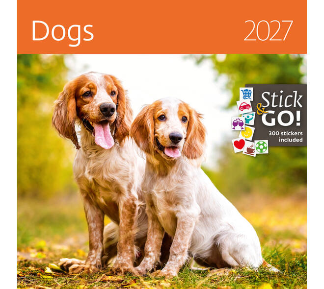 Kalender 2027 Helma 365 30x30cm honden