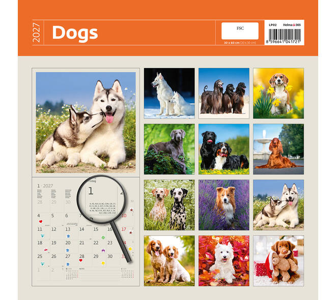 Kalender 2027 Helma 365 30x30cm honden