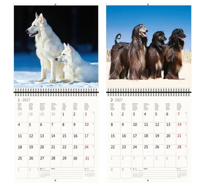 Kalender 2027 Helma 365 30x30cm honden