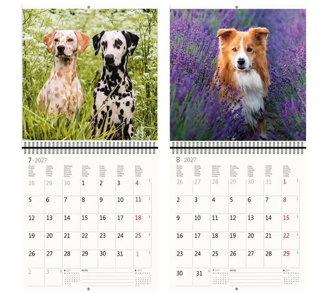 Kalender 2027 Helma 365 30x30cm honden